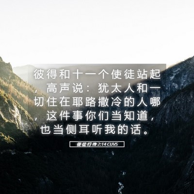 Picture 05 - 使 徒 行 传 2:14 CUVS - 彼 得 和 十 一 个 使 徒 站 起 ， 高 - Bible Verse Picture