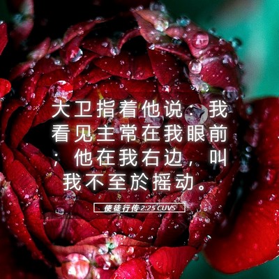 Picture 05 - 使 徒 行 传 2:25 CUVS - 大 卫 指 着 他 说 ： 我 看 见 主 常 - Bible Verse Picture