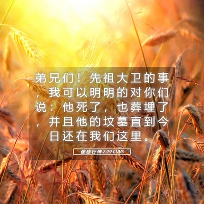 Picture 05 - 使 徒 行 传 2:29 CUVS - 弟 兄 们 ！ 先 祖 大 卫 的 事 ， 我 - Bible Verse Picture