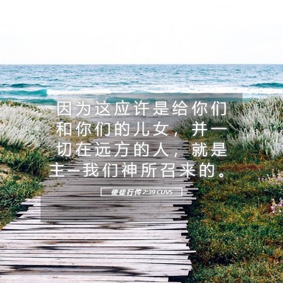 Picture 05 - 使 徒 行 传 2:39 CUVS - 因 为 这 应 许 是 给 你 们 和 你 们 - Bible Verse Picture