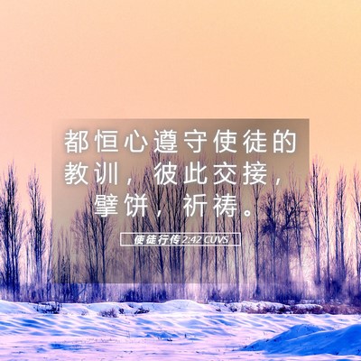 Picture 05 - 使 徒 行 传 2:42 CUVS - 都 恒 心 遵 守 使 徒 的 教 训 ， 彼 - Bible Verse Picture