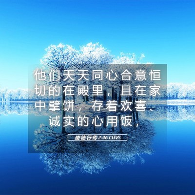 Picture 05 - 使 徒 行 传 2:46 CUVS - 他 们 天 天 同 心 合 意 恒 切 的 在 - Bible Verse Picture