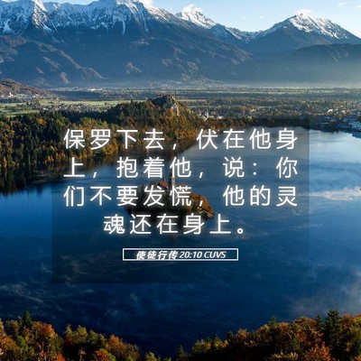 Picture 05 - 使 徒 行 传 20:10 CUVS - 保 罗 下 去 ， 伏 在 他 身 上 ， 抱 - Bible Verse Picture