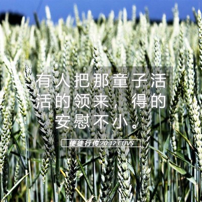 Picture 05 - 使 徒 行 传 20:12 CUVS - 有 人 把 那 童 子 活 活 的 领 来 ， - Bible Verse Picture