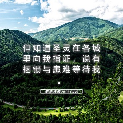 Picture 05 - 使 徒 行 传 20:23 CUVS - 但 知 道 圣 灵 在 各 城 里 向 我 指 - Bible Verse Picture