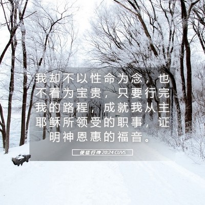 Picture 05 - 使 徒 行 传 20:24 CUVS - 我 却 不 以 性 命 为 念 ， 也 不 看 - Bible Verse Picture