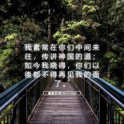 Picture 05 - 使 徒 行 传 20:25 CUVS - 我 素 常 在 你 们 中 间 来 往 ， 传 - Bible Verse Picture