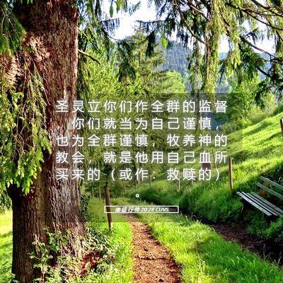 Picture 05 - 使 徒 行 传 20:28 CUVS - 圣 灵 立 你 们 作 全 群 的 监 督 ， - Bible Verse Picture
