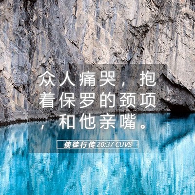 Picture 05 - 使 徒 行 传 20:37 CUVS - 众 人 痛 哭 ， 抱 着 保 罗 的 颈 项 - Bible Verse Picture