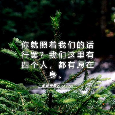 Picture 05 - 使 徒 行 传 21:23 CUVS - 你 就 照 着 我 们 的 话 行 罢 ？ 我 - Bible Verse Picture