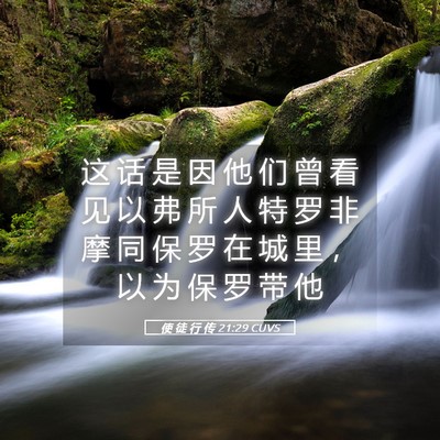 Picture 05 - 使 徒 行 传 21:29 CUVS - 这 话 是 因 他 们 曾 看 见 以 弗 所 - Bible Verse Picture