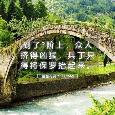 Picture 05 - 使 徒 行 传 21:35 CUVS - 到 了 ? 阶 上 ， 众 人 挤 得 凶 猛 ， - Bible Verse Picture
