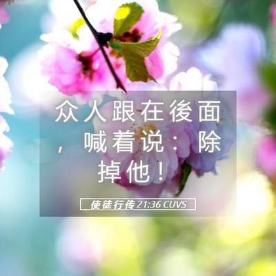 Picture 05 - 使 徒 行 传 21:36 CUVS - 众 人 跟 在 後 面 ， 喊 着 说 ： 除 - Bible Verse Picture