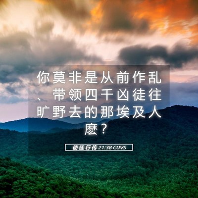 Picture 05 - 使 徒 行 传 21:38 CUVS - 你 莫 非 是 从 前 作 乱 、 带 领 四 - Bible Verse Picture