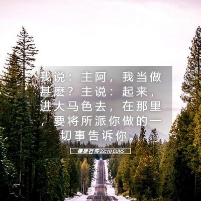 Picture 05 - 使 徒 行 传 22:10 CUVS - 我 说 ： 主 阿 ， 我 当 做 甚 麽 ？ - Bible Verse Picture