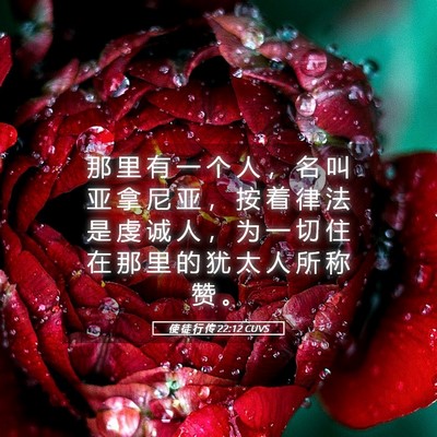 Picture 05 - 使 徒 行 传 22:12 CUVS - 那 里 有 一 个 人 ， 名 叫 亚 拿 尼 - Bible Verse Picture