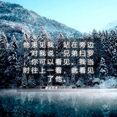 Picture 05 - 使 徒 行 传 22:13 CUVS - 他 来 见 我 ， 站 在 旁 边 ， 对 我 - Bible Verse Picture