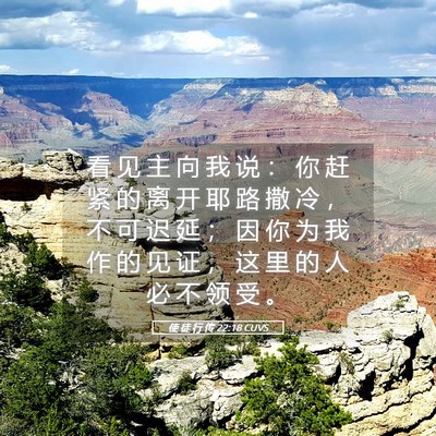 Picture 05 - 使 徒 行 传 22:18 CUVS - 看 见 主 向 我 说 ： 你 赶 紧 的 离 - Bible Verse Picture