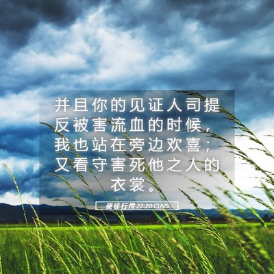 Picture 05 - 使 徒 行 传 22:20 CUVS - 并 且 你 的 见 证 人 司 提 反 被 害 - Bible Verse Picture