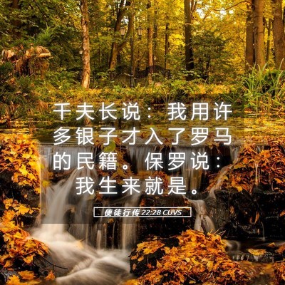 Picture 05 - 使 徒 行 传 22:28 CUVS - 千 夫 长 说 ： 我 用 许 多 银 子 才 - Bible Verse Picture