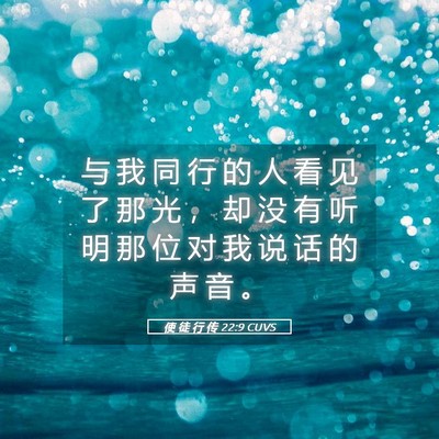 Picture 05 - 使 徒 行 传 22:9 CUVS - 与 我 同 行 的 人 看 见 了 那 光 ， - Bible Verse Picture