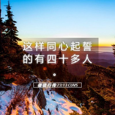 Picture 05 - 使 徒 行 传 23:13 CUVS - 这 样 同 心 起 誓 的 有 四 十 多 人 - Bible Verse Picture