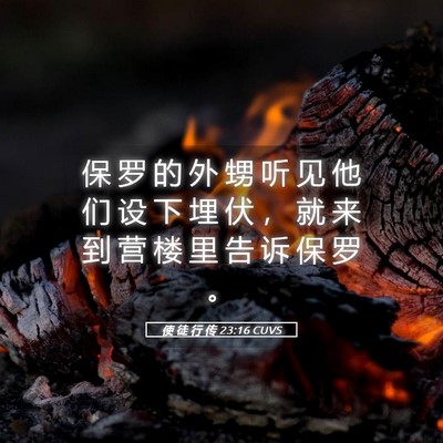 Picture 05 - 使 徒 行 传 23:16 CUVS - 保 罗 的 外 甥 听 见 他 们 设 下 埋 - Bible Verse Picture