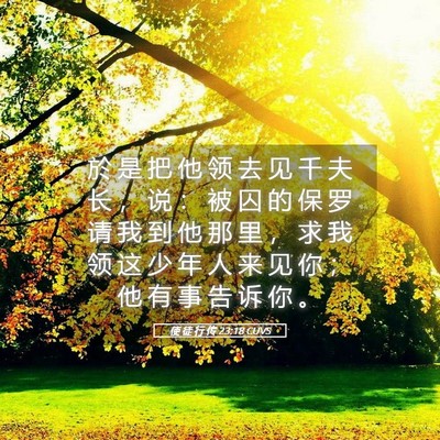 Picture 05 - 使 徒 行 传 23:18 CUVS - 於 是 把 他 领 去 见 千 夫 长 ， 说 - Bible Verse Picture