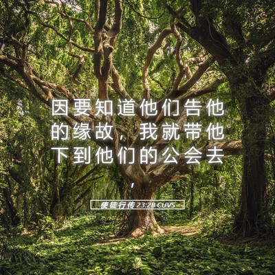 Picture 05 - 使 徒 行 传 23:28 CUVS - 因 要 知 道 他 们 告 他 的 缘 故 ， - Bible Verse Picture