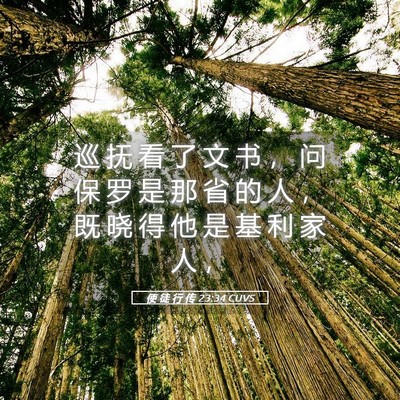 Picture 05 - 使 徒 行 传 23:34 CUVS - 巡 抚 看 了 文 书 ， 问 保 罗 是 那 - Bible Verse Picture