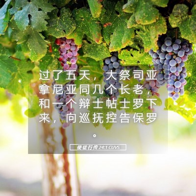 Picture 05 - 使 徒 行 传 24:1 CUVS - 过 了 五 天 ， 大 祭 司 亚 拿 尼 亚 - Bible Verse Picture