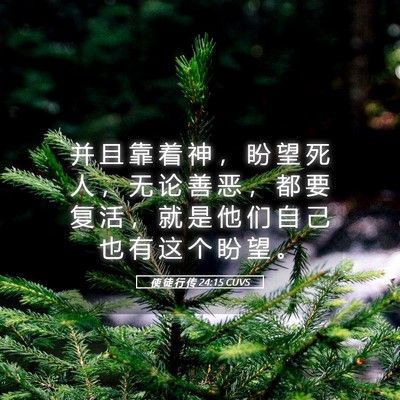 Picture 05 - 使 徒 行 传 24:15 CUVS - 并 且 靠 着 神 ， 盼 望 死 人 ， 无 - Bible Verse Picture
