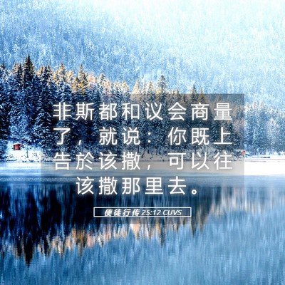 Picture 05 - 使 徒 行 传 25:12 CUVS - 非 斯 都 和 议 会 商 量 了 ， 就 说 - Bible Verse Picture
