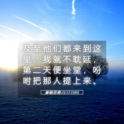 Picture 05 - 使 徒 行 传 25:17 CUVS - 及 至 他 们 都 来 到 这 里 ， 我 就 - Bible Verse Picture