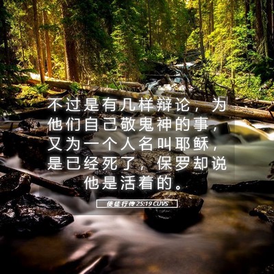 Picture 05 - 使 徒 行 传 25:19 CUVS - 不 过 是 有 几 样 辩 论 ， 为 他 们 - Bible Verse Picture