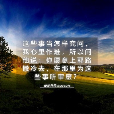 Picture 05 - 使 徒 行 传 25:20 CUVS - 这 些 事 当 怎 样 究 问 ， 我 心 里 - Bible Verse Picture