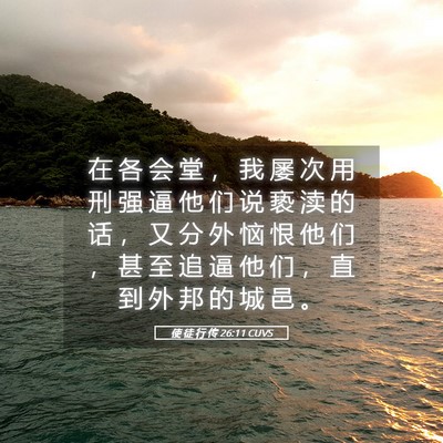 Picture 05 - 使 徒 行 传 26:11 CUVS - 在 各 会 堂 ， 我 屡 次 用 刑 强 逼 - Bible Verse Picture