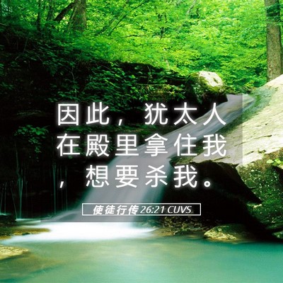 Picture 05 - 使 徒 行 传 26:21 CUVS - 因 此 ， 犹 太 人 在 殿 里 拿 住 我 - Bible Verse Picture