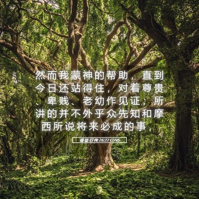 Picture 05 - 使 徒 行 传 26:22 CUVS - 然 而 我 蒙 神 的 帮 助 ， 直 到 今 - Bible Verse Picture