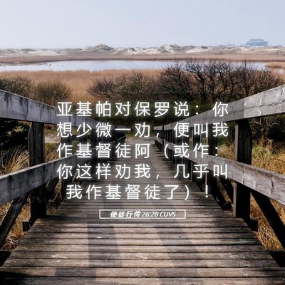 Picture 05 - 使 徒 行 传 26:28 CUVS - 亚 基 帕 对 保 罗 说 ： 你 想 少 微 - Bible Verse Picture
