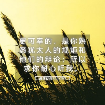 Picture 05 - 使 徒 行 传 26:3 CUVS - 更 可 幸 的 ， 是 你 熟 悉 犹 太 人 - Bible Verse Picture