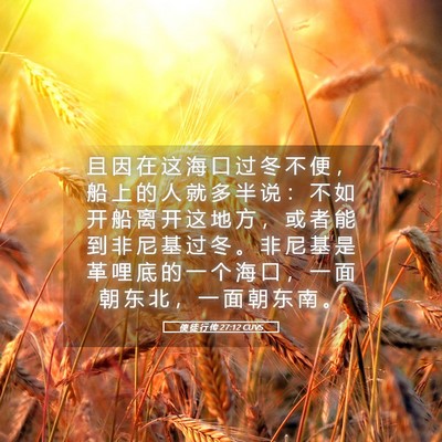 Picture 05 - 使 徒 行 传 27:12 CUVS - 且 因 在 这 海 口 过 冬 不 便 ， 船 - Bible Verse Picture