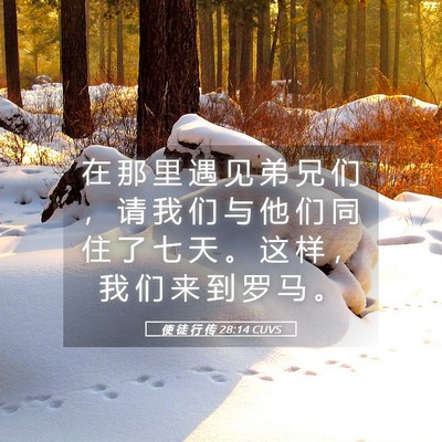 Picture 05 - 使 徒 行 传 28:14 CUVS - 在 那 里 遇 见 弟 兄 们 ， 请 我 们 - Bible Verse Picture