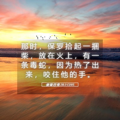 Picture 05 - 使 徒 行 传 28:3 CUVS - 那 时 ， 保 罗 拾 起 一 捆 柴 ， 放 - Bible Verse Picture