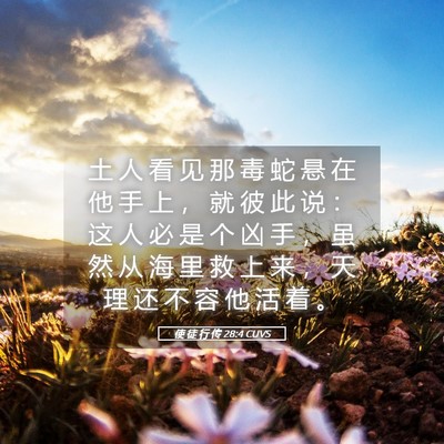 Picture 05 - 使 徒 行 传 28:4 CUVS - 土 人 看 见 那 毒 蛇 悬 在 他 手 上 - Bible Verse Picture