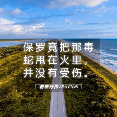 Picture 05 - 使 徒 行 传 28:5 CUVS - 保 罗 竟 把 那 毒 蛇 甩 在 火 里 ， - Bible Verse Picture