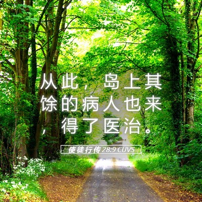 Picture 05 - 使 徒 行 传 28:9 CUVS - 从 此 ， 岛 上 其 馀 的 病 人 也 来 - Bible Verse Picture