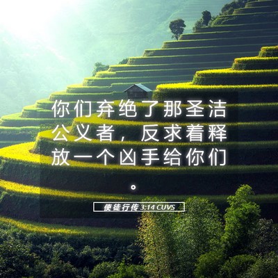 Picture 05 - 使 徒 行 传 3:14 CUVS - 你 们 弃 绝 了 那 圣 洁 公 义 者 ， - Bible Verse Picture