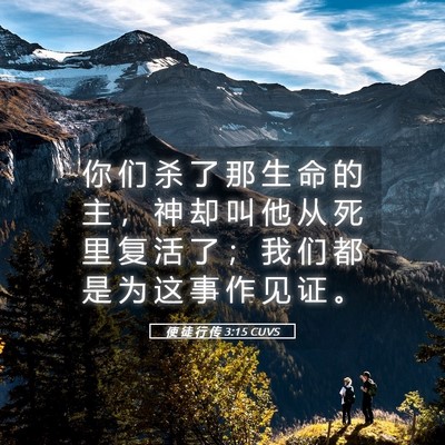 Picture 05 - 使 徒 行 传 3:15 CUVS - 你 们 杀 了 那 生 命 的 主 ， 神 却 - Bible Verse Picture