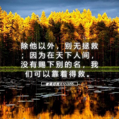 Picture 05 - 使 徒 行 传 4:12 CUVS - 除 他 以 外 ， 别 无 拯 救 ； 因 为 - Bible Verse Picture